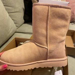 Uggs size 7 new in box